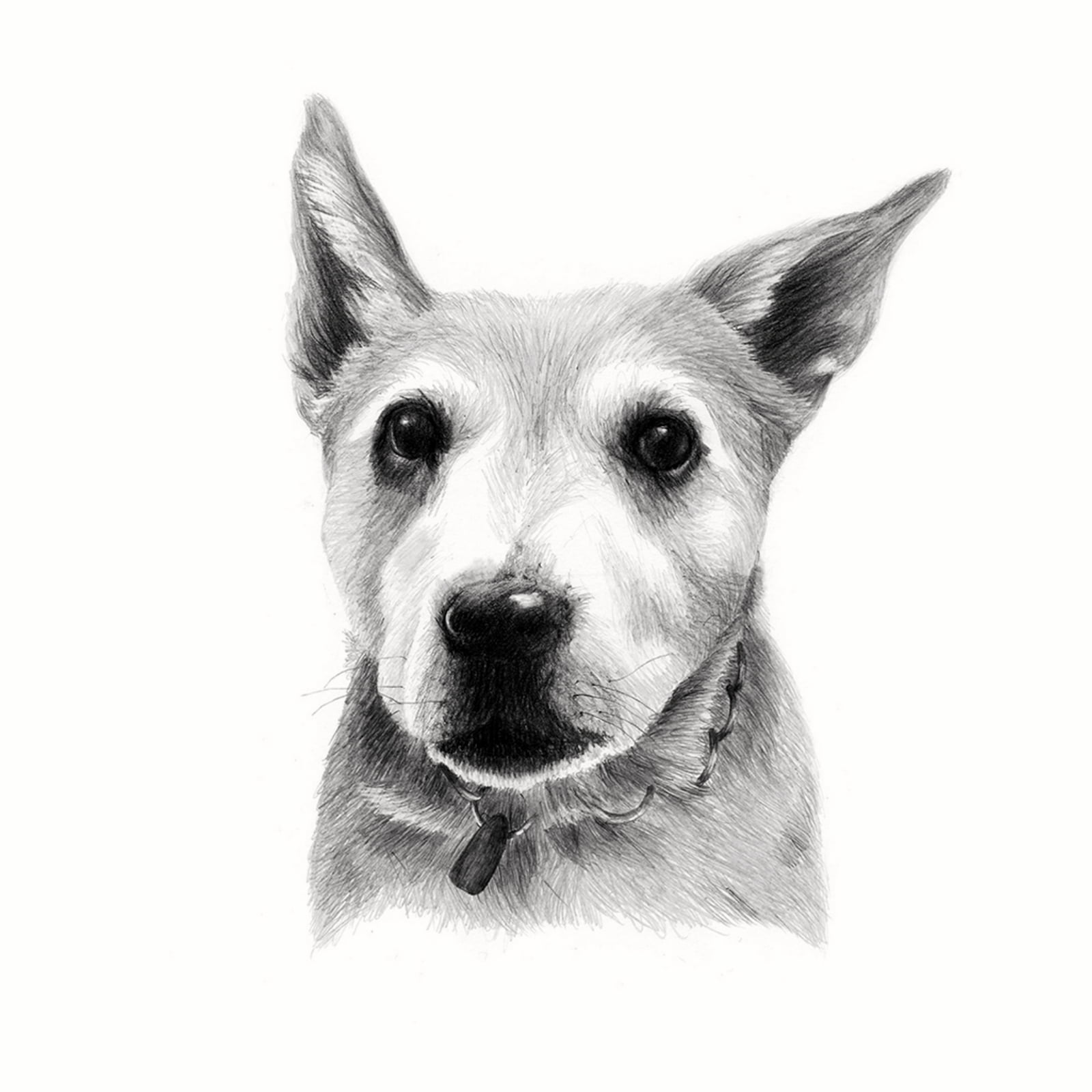 Kelpie